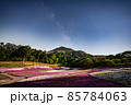 芝桜と天の川 85784063