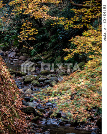 秋の正暦寺 紅葉 秋の正暦寺 紅葉 85784293