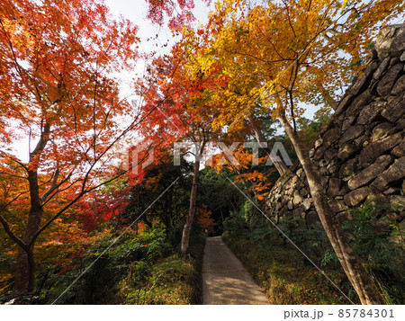 秋の正暦寺 紅葉 85784301