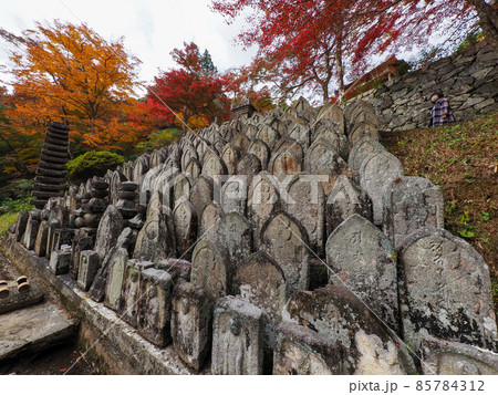秋の正暦寺 紅葉 秋の正暦寺 紅葉 85784312