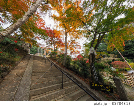 秋の正暦寺 紅葉 85784313