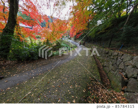 秋の正暦寺 紅葉 85784315
