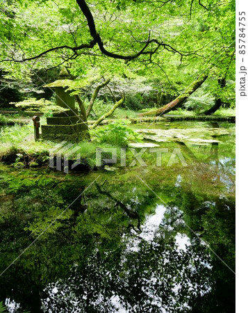 熊本県産山村　山吹水源の湧水池と水神の社 85784755