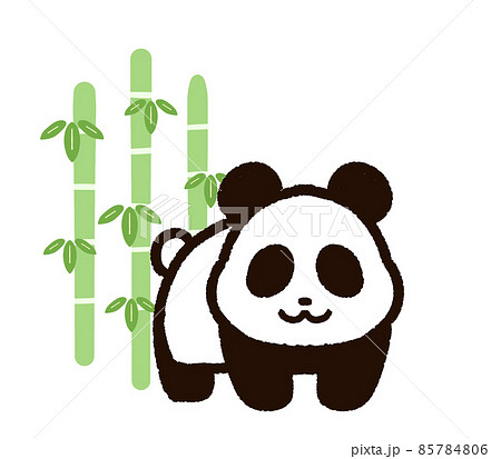 かわいいパンダと竹藪のイラスト素材