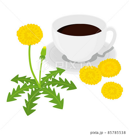 たんぽぽコーヒーのイラスト たんぽぽコーヒーのイラスト 85785538