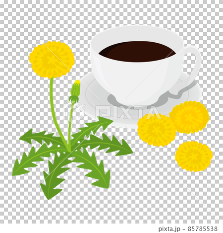 たんぽぽコーヒーのイラスト たんぽぽコーヒーのイラスト 85785538