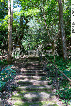 清水寺 清水寺 85785601
