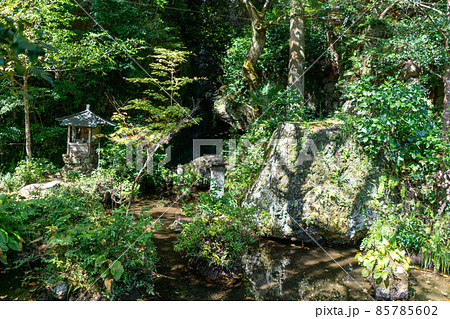 清水寺 清水寺 85785602