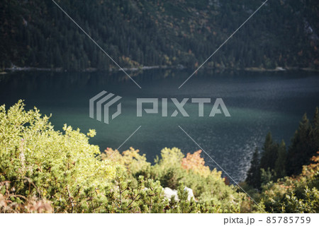 Morskie Oko lake (Eye of the Sea) at Tatra mountains in Poland. Morskie Oko lake (Eye of the Sea) at Tatra mountains in Poland. 85785759