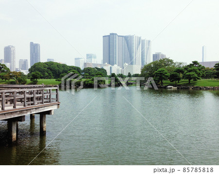 浜離宮恩賜庭園の潮入の池 85785818