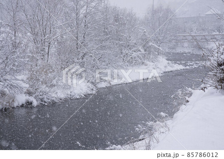 裾花川に降る雪 85786012