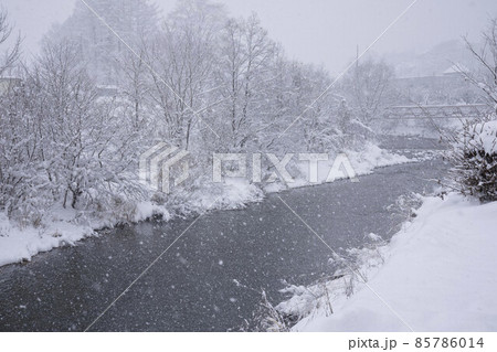 裾花川に降る雪 85786014