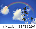 グアム島のヤシの木と虹 85786296