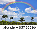 グアム島のヤシの林と虹 85786299