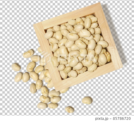 Setsubun bean soybean illustration real bird's-eye view Setsubun bean soybean illustration real bird's-eye view 85786720