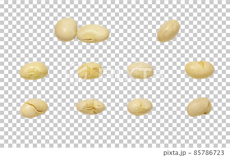 Setsubun Bean Maki Soybean Illustration Real Single Setsubun Bean Maki Soybean Illustration Real Single 85786723