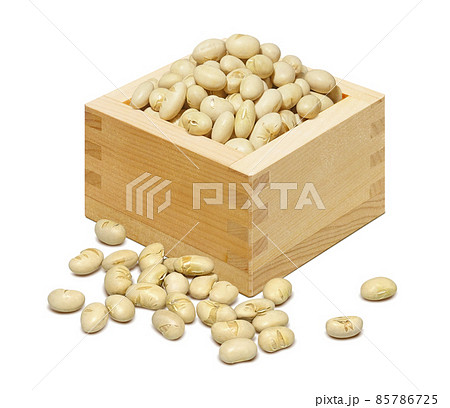 節分 豆まき 大豆 イラスト リアル 節分 豆まき 大豆 イラスト リアル 85786725