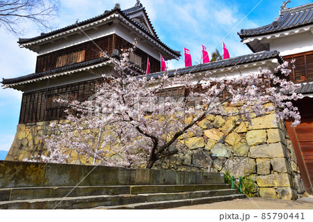 桜景 上田城 南櫓 桜景 上田城 南櫓 85790441