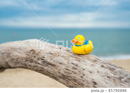 Yellow rubber duckling over a tree by the sea - a concept of vacation, tourism and travel - selective focus, space for text Yellow rubber duckling over a tree by the sea - a concept of vacation, tourism and travel - selective focus, space for text 85790886