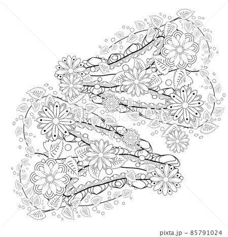 Outline vector drawing of flowers for adult coloring books. Page of floral pattern in black and white. 85791024