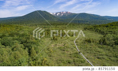 《宮城県・栗原市》世界谷地・第二湿原 85791150