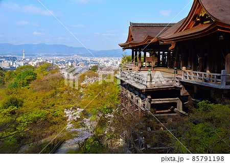 春　清水寺　本堂 85791198