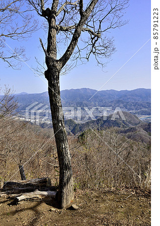 道志山塊の高柄山山頂から望む奥多摩の山並み 85791223
