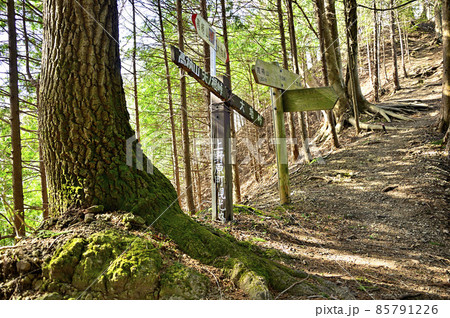 道志山塊の高柄山 秋山山稜コースの千足峠 materials digitalstage