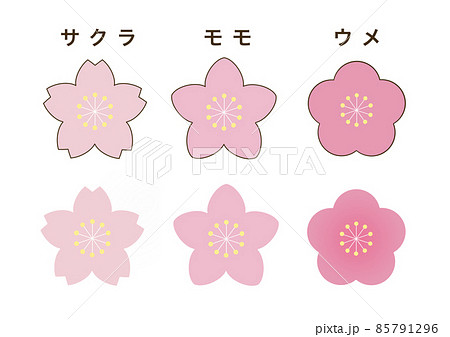 シンプルでかわいい 桜の花 桃の花 梅の花のイラスト素材のイラスト素材