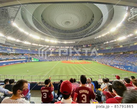 ドームの外野席からの野球観戦 85791865