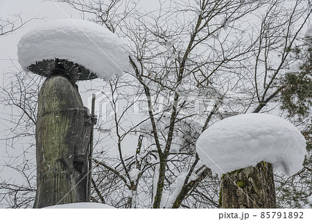 雪の飛騨古川(岐阜県)本光寺 親鸞聖人像 雪の飛騨古川(岐阜県)本光寺 親鸞聖人像 85791892