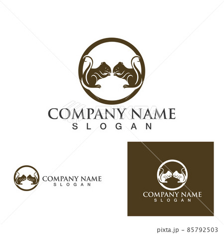 squirrel logo and symbols 85792503
