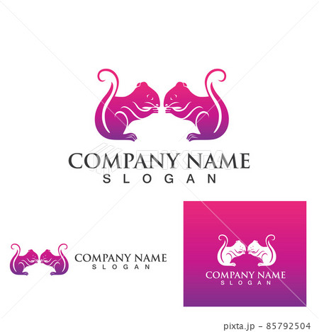 squirrel logo and symbols squirrel logo and symbols 85792504