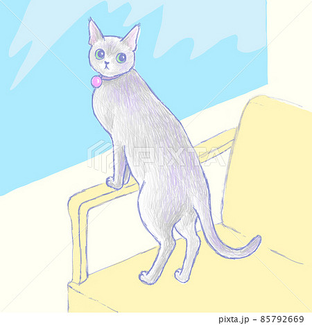 窓辺でソファーに手をかけながら、こちらを向いているロシアンブルーのネコ 窓辺でソファーに手をかけながら、こちらを向いているロシアンブルーのネコ 85792669