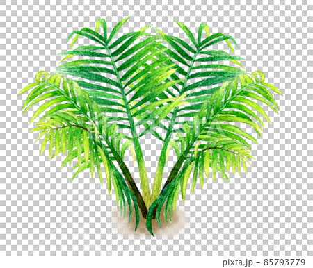 Hand-painted watercolor illustration material of foliage plants and garden trees Hand-painted watercolor illustration material of foliage plants and garden trees 85793779
