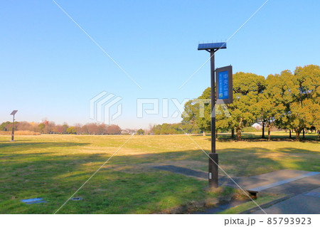 東京都葛飾区にある水元公園　中央広場　メタセコイアの森　紅葉 85793923