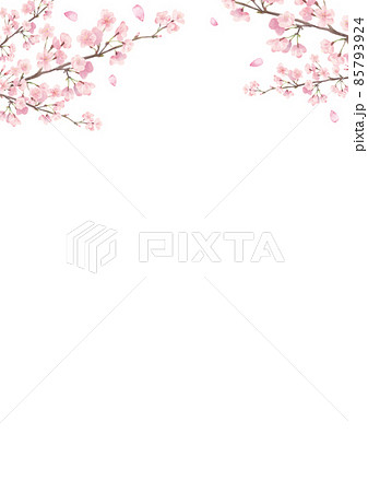 水彩風の桜枠・縦 水彩風の桜枠・縦 85793924