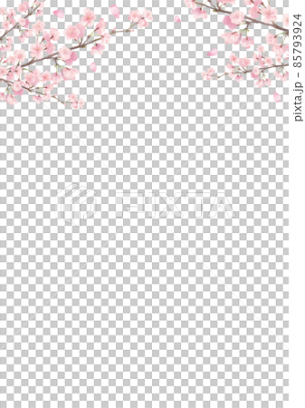 水彩風の桜枠・縦 水彩風の桜枠・縦 85793924