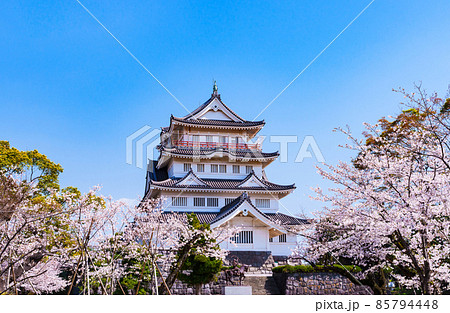 千葉城　亥鼻城　千葉市立郷土博物館　【 千葉 の 桜 の 名所 】 85794448