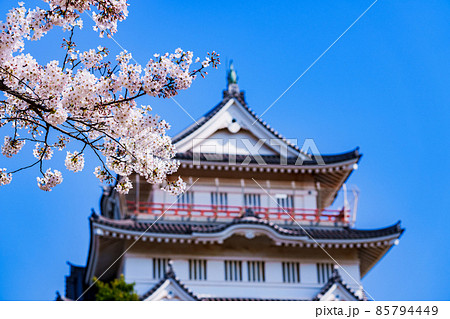 千葉城　亥鼻城　千葉市立郷土博物館　【 千葉 の 桜 の 名所 】 85794449
