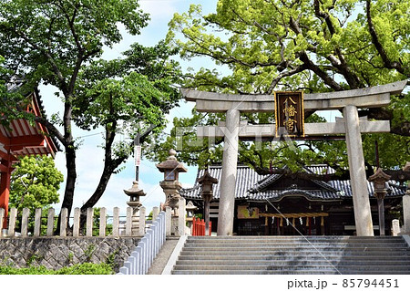 百舌鳥八幡宮の静寂な境内② 百舌鳥八幡宮の静寂な境内② 85794451