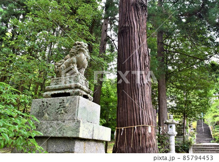 菅原道真ゆかりの生身天満宮③ 菅原道真ゆかりの生身天満宮③ 85794453