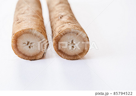 土ごぼう 85794522