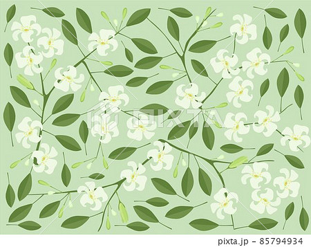 Background of Orange Jasmine or Mock Orange Flowers 85794934