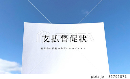 支払督促状の文字入りの白い紙 85795071