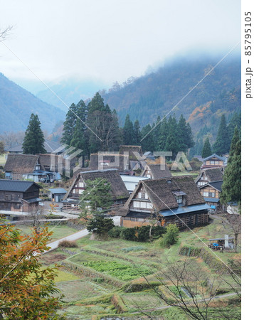富山県南砺市　越中五箇山　晩秋の相倉合掌造り集落全景 85795105