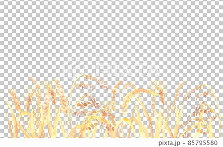 水彩で描いた雑穀の畑のイラスト 85795580