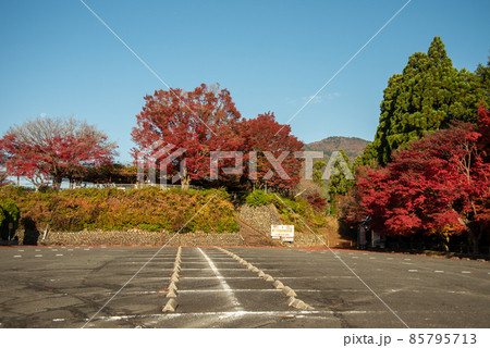 嵯峨嵐山の美しい紅葉 85795713