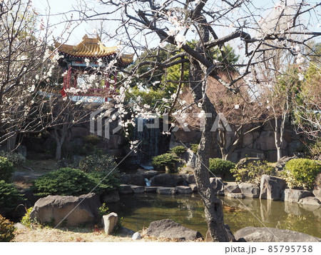 大師公園の瀋秀園 大師公園の瀋秀園 85795758