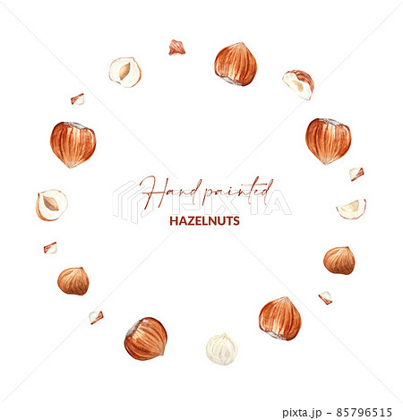 Round Frame Of Hazelnuts Raw Nuts With Shell のイラスト素材